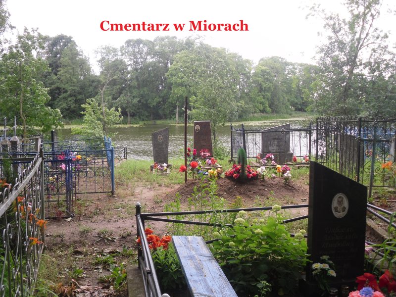 Obrazek Cmentarz w Miorach – Pochowani, których nazwiska zaczynają się na literę P (obok mogą znajdować się groby, w których pochowane są osoby o nazwiskach zaczynających się na inne litery)