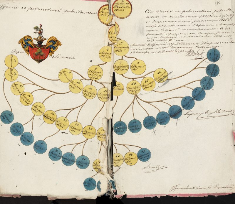 Obrazek Drzewa genealogiczne szlachty brasławskiej (z teczek wywodowych)