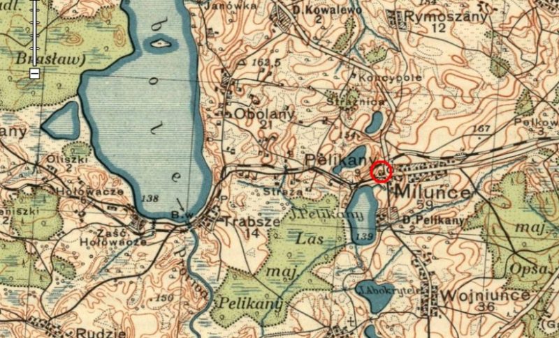 Obrazek Cmentarz w Pelikanach (dawny Powiat Brasławski) – Pochowani, których nazwiska nie zostały zidentyfikowane