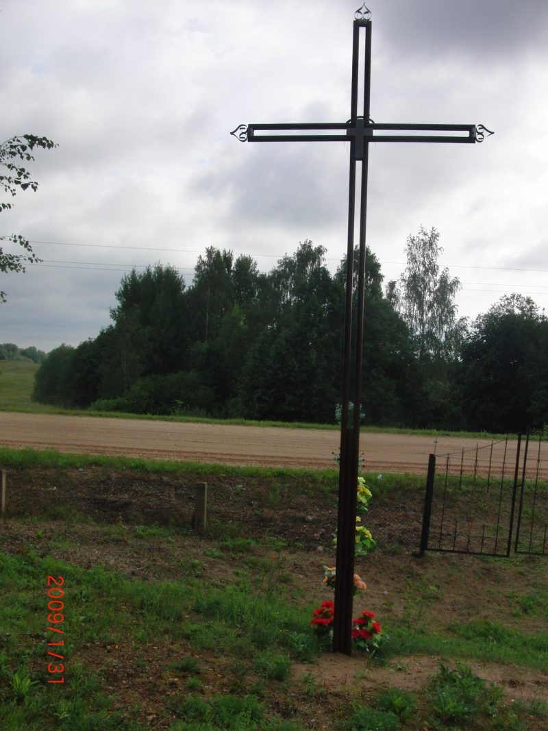 Obrazek Cmentarz w Ejwidowiczach (międzywojenna Gmina Bohiń Powiatu Brasławskiego) – część 2