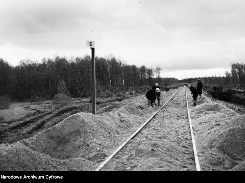 Obrazek 1934 rok – Przebudowa linii kolejowej (wąskotorowej) na trasie Druja – Dukszty – WYWŁASZCZENIA